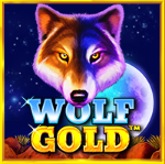 slotciti Wolf Gold